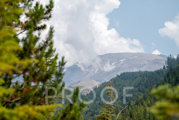 ER_BF_26-3767