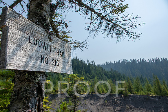ER_BF_26-3768