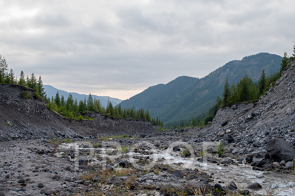 ER_BF_26-3772