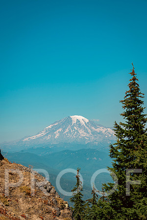 JS_T26-1350