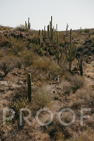 SA_AZ25-2103