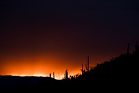 250405_JDP_1975