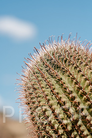 AW_AZ25-3422