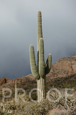 SA_AZ25-0949