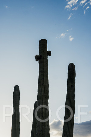 JP_AZ25-13