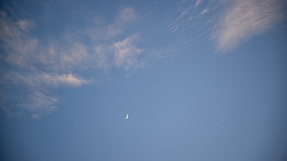 AW_T23-0097