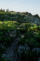 JP_T23_2507
