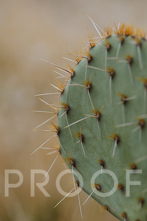AW_AZ25-3030