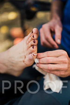 JP_M24-0684