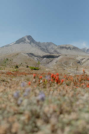SA_B23-0279
