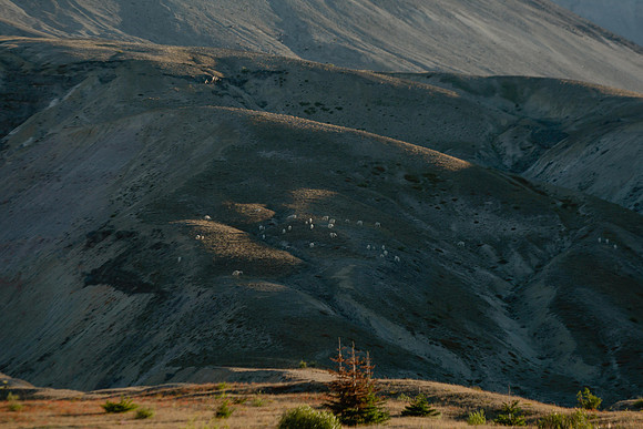 SA_B23-1081