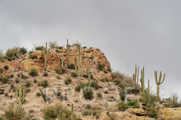 AW_AZ25-3024