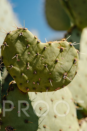 AW_AZ25-3369