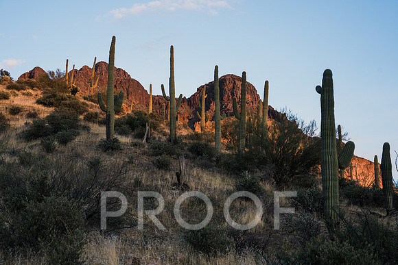 JP_AZ25-22