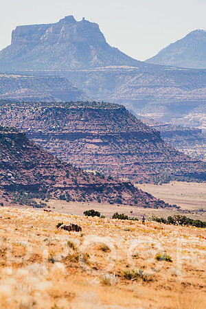231014_Moab240_JDP_5729