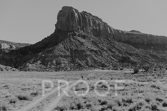 SA_M23-2717