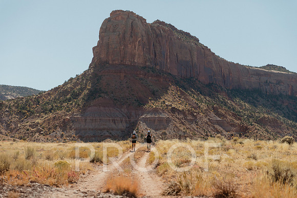 SA_M23-2619