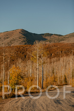 SA_M23-1655