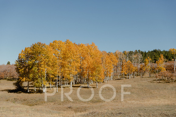 SA_M23-0567