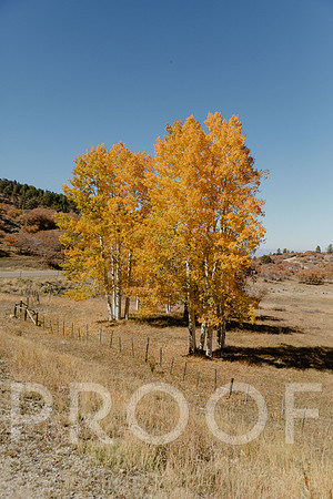 SA_M23-0565