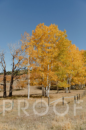 SA_M23-0564