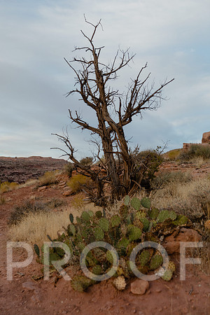 SA_M23-0359
