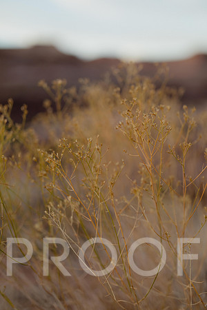 SA_M23-0366