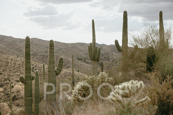 SA_AZ25-0948