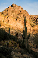 JP_AZ25-8