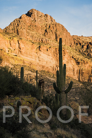 JP_AZ25-8