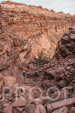 JP_M24-1206