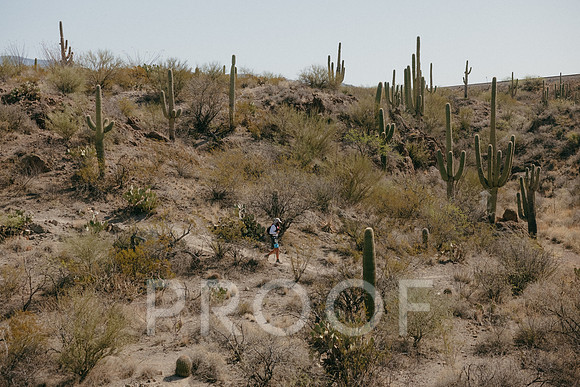 SA_AZ25-2119