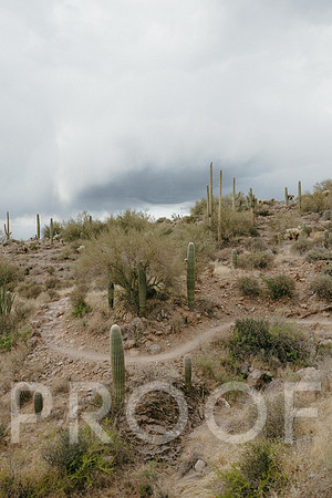 SA_AZ25-0950