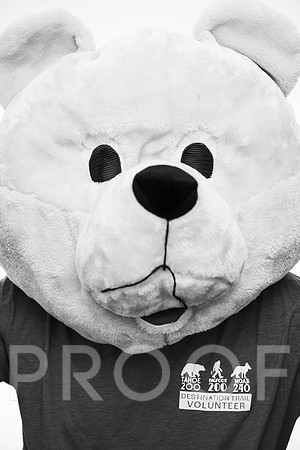 AW_T25-6837-2