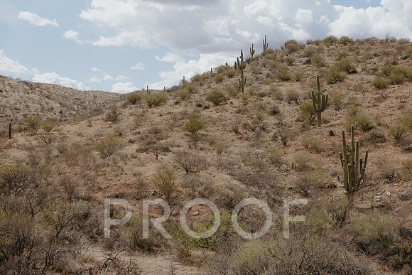 SA_AZ25-0965