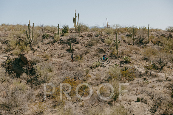 SA_AZ25-2137