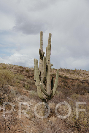 SA_AZ25-0963