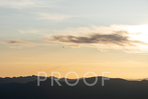 AW_T25-3171