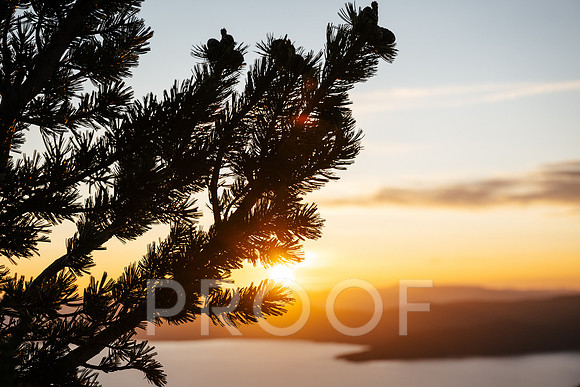 AW_T25-2507