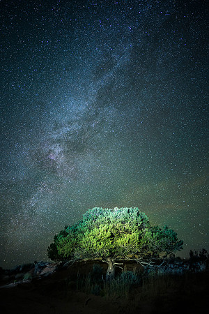 JDP_M21-9641