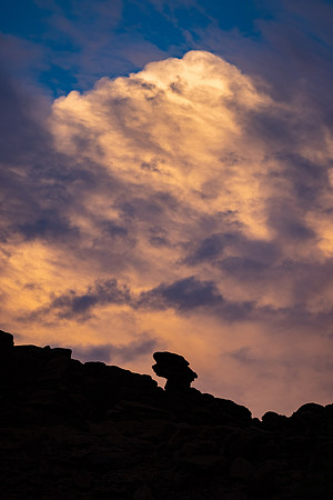HS_M21-3354