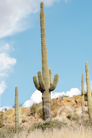 AW_AZ25-3006