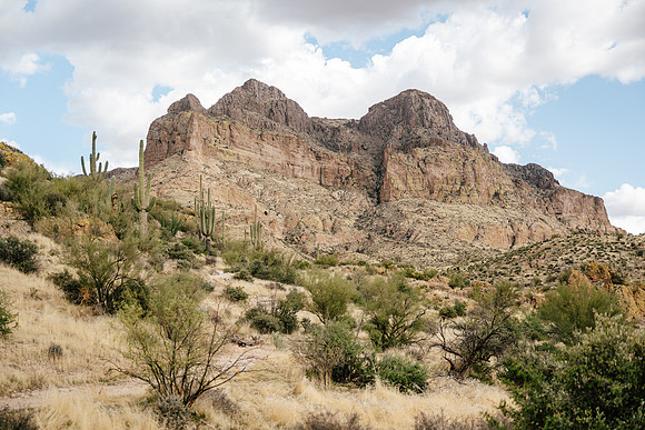 AW_AZ25-6601web