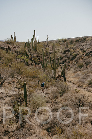 SA_AZ25-2126