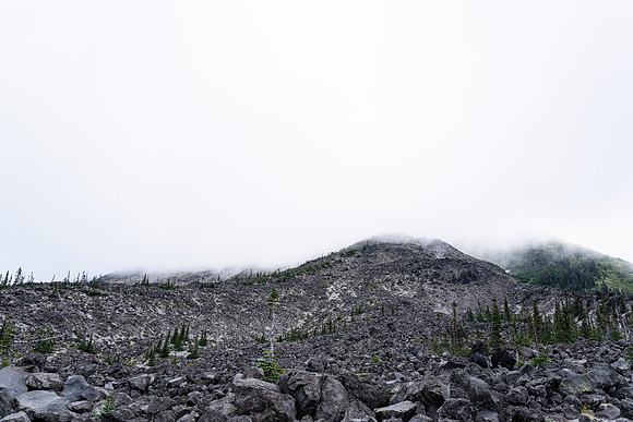 AW_BF2022_3885