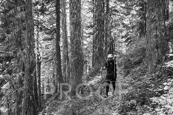 JP_BF24-2384