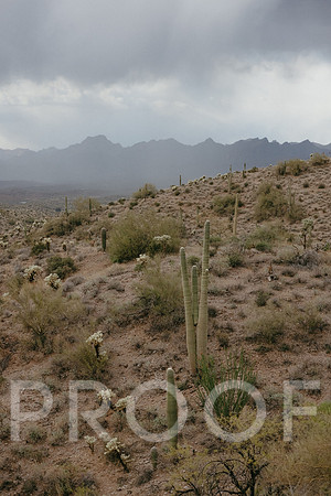 SA_AZ25-0951