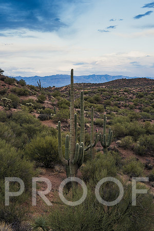 JP_AZ25-34