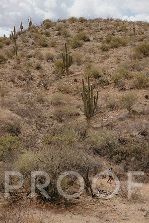 SA_AZ25-0966