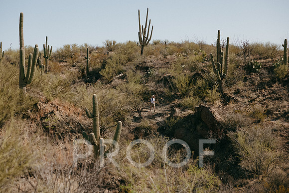 SA_AZ25-2101